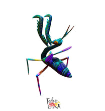Load image into Gallery viewer, Mantis religiosa.
