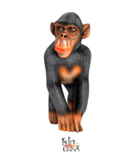 تحميل الصورة على مشاهد المعرض ، Chimpance
