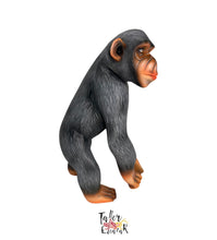 Afbeelding in Gallery-weergave laden, Chimpance
