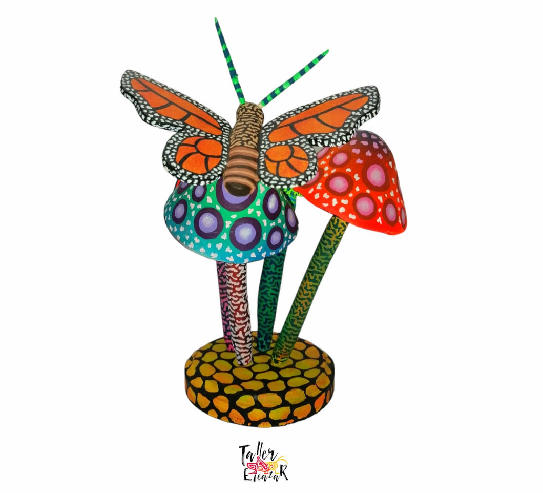 hongos con mariposa